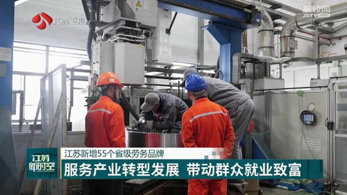 江蘇省培育55個(gè)省級(jí)勞務(wù)品牌，以專業(yè)化服務(wù)賦能產(chǎn)業(yè)轉(zhuǎn)型與群眾增收
